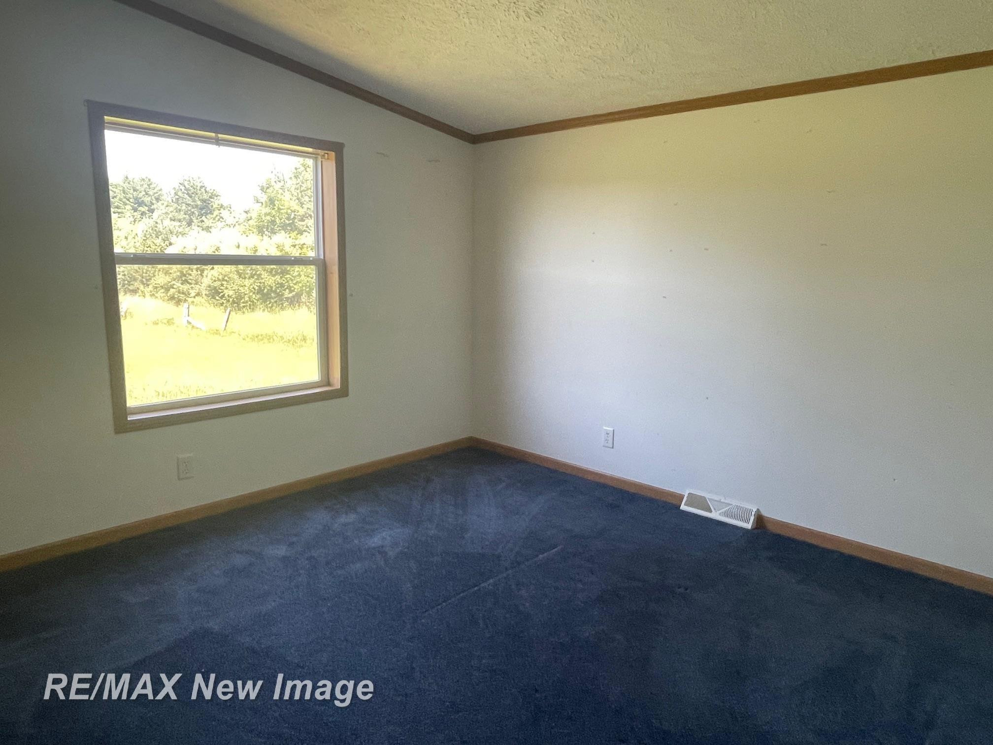 15957 W Burt Road, Chesaning, MI 48616 — Photo 17