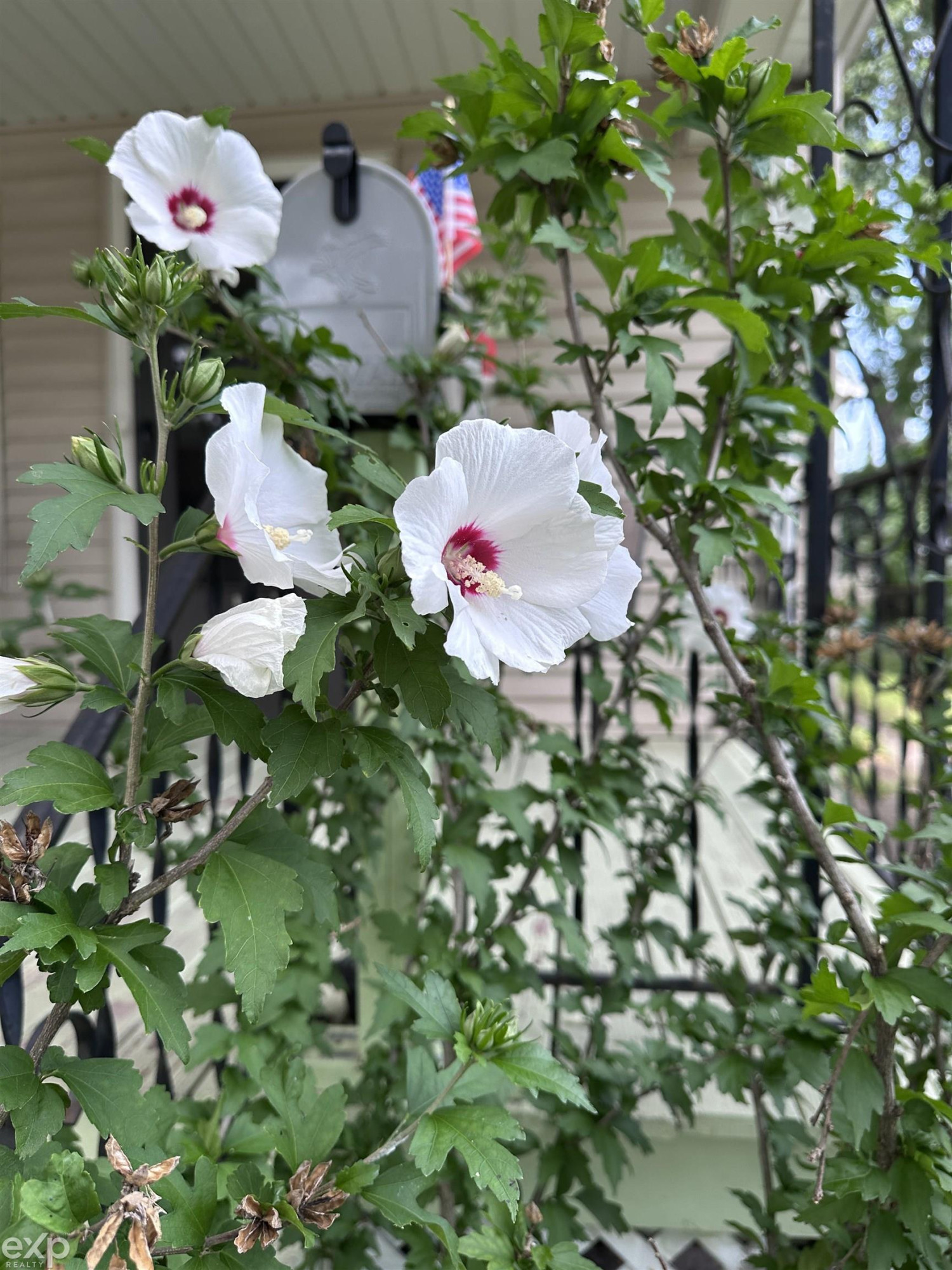 2417 Division Street, Port Huron, MI — Photo 11