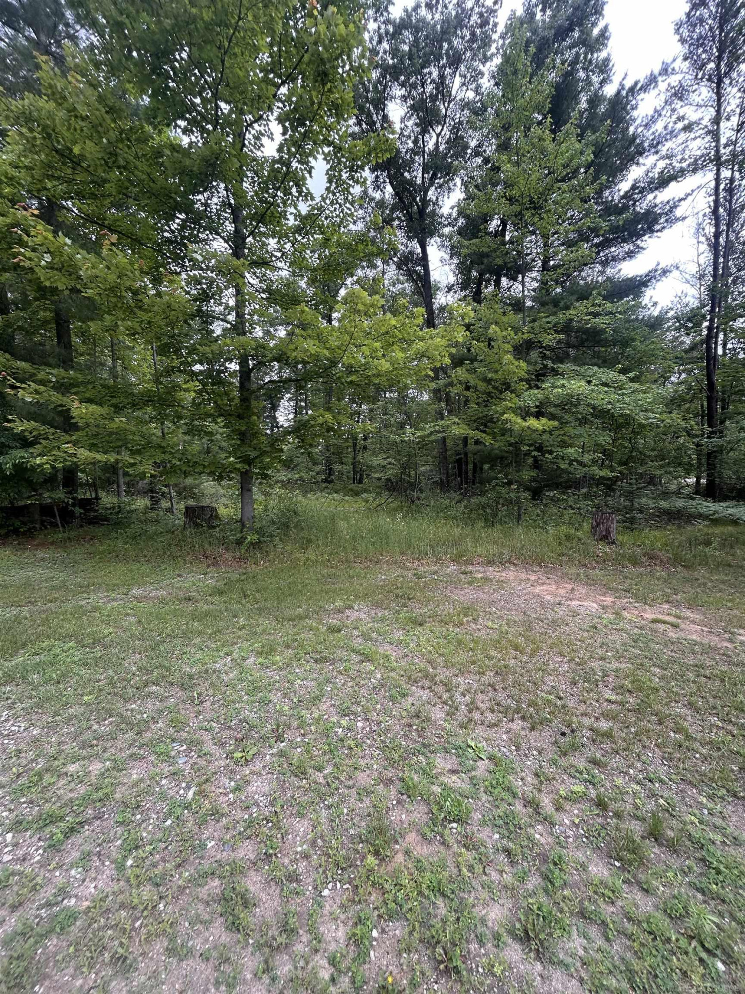 0 S. Forest Lake Drive, Alger, MI 48610