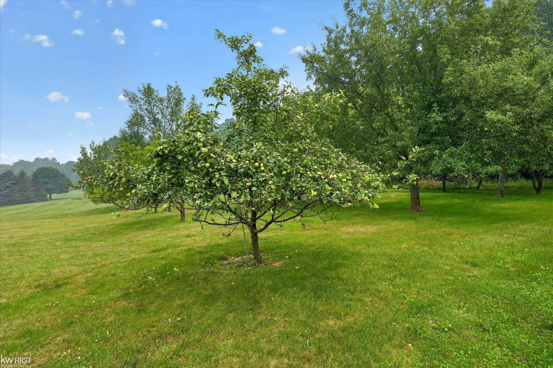 7110 Granger Drive, Howell, MI 48855 — Photo 71
