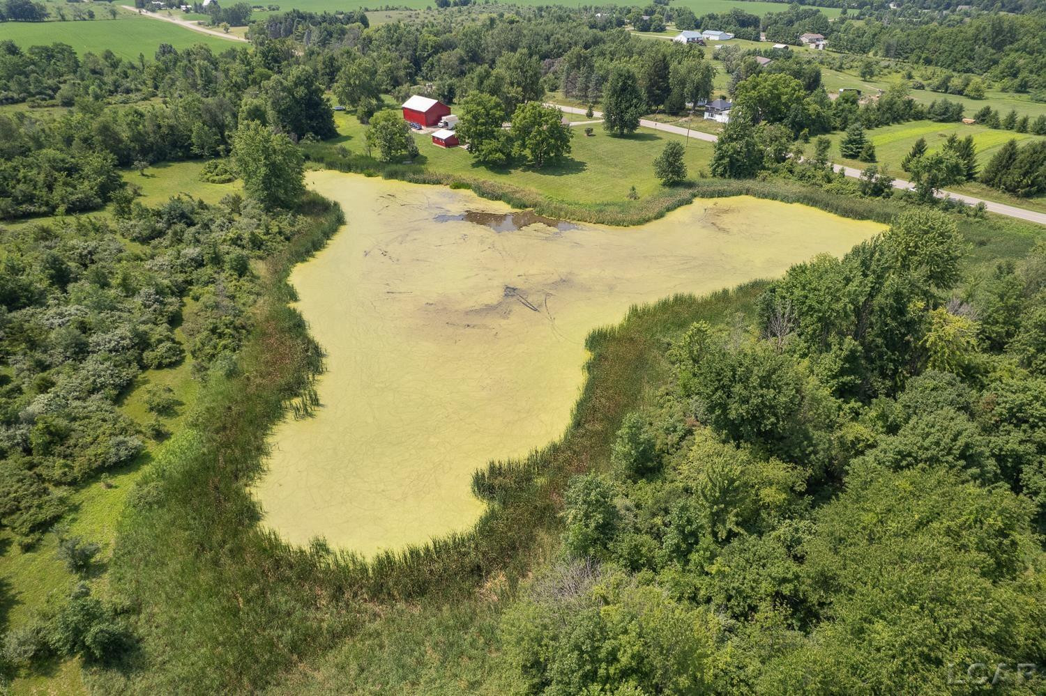 12895 Forrister Road, Clayton, MI 49235 — Photo 44