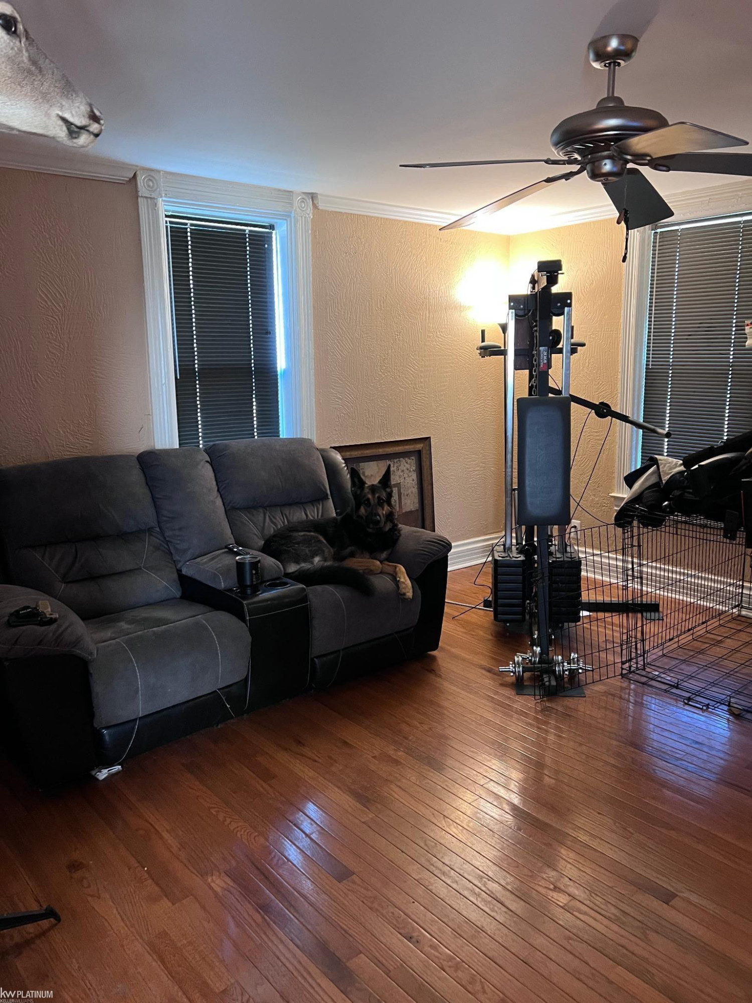 Photo 6
