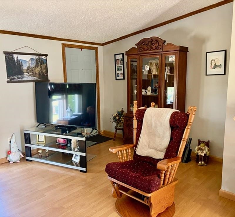 608 E Liberty Street, Chesaning, MI 48616 — Photo 14