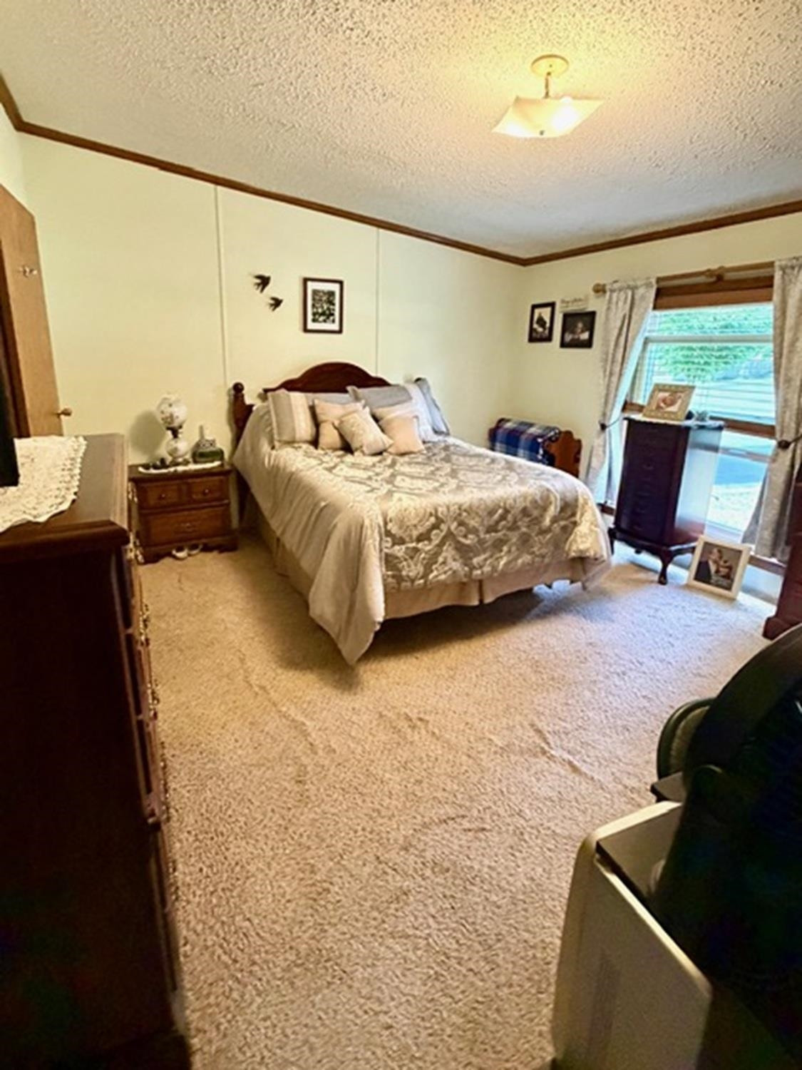 608 E Liberty Street, Chesaning, MI 48616 — Photo 16