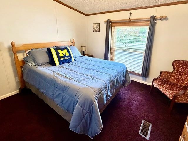 608 E Liberty Street, Chesaning, MI 48616 — Photo 19