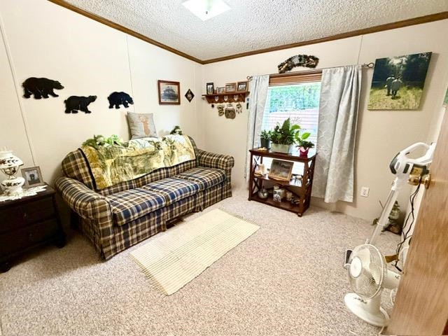 608 E Liberty Street, Chesaning, MI 48616 — Photo 21