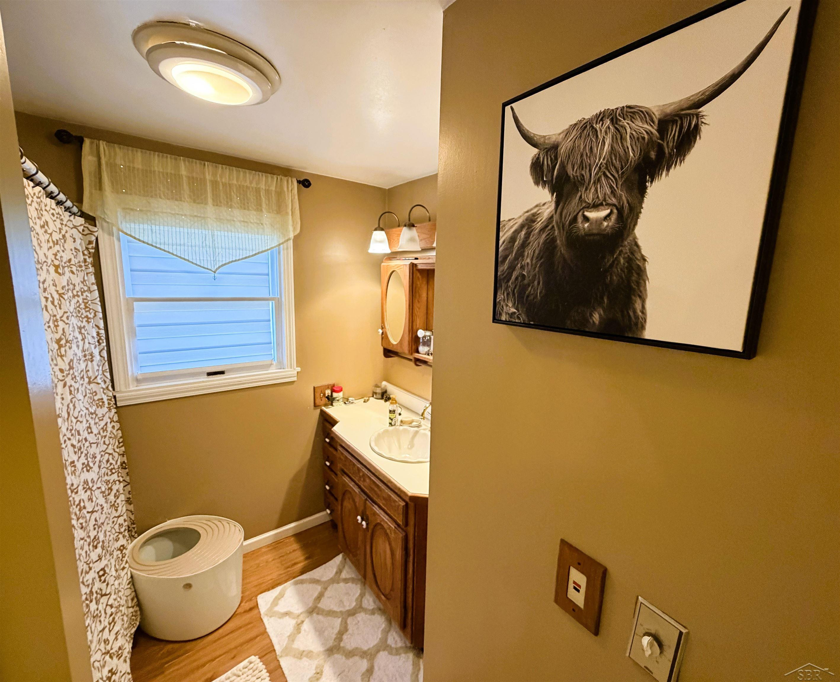 325 S Main Street, Chesaning, MI 48616 — Photo 13