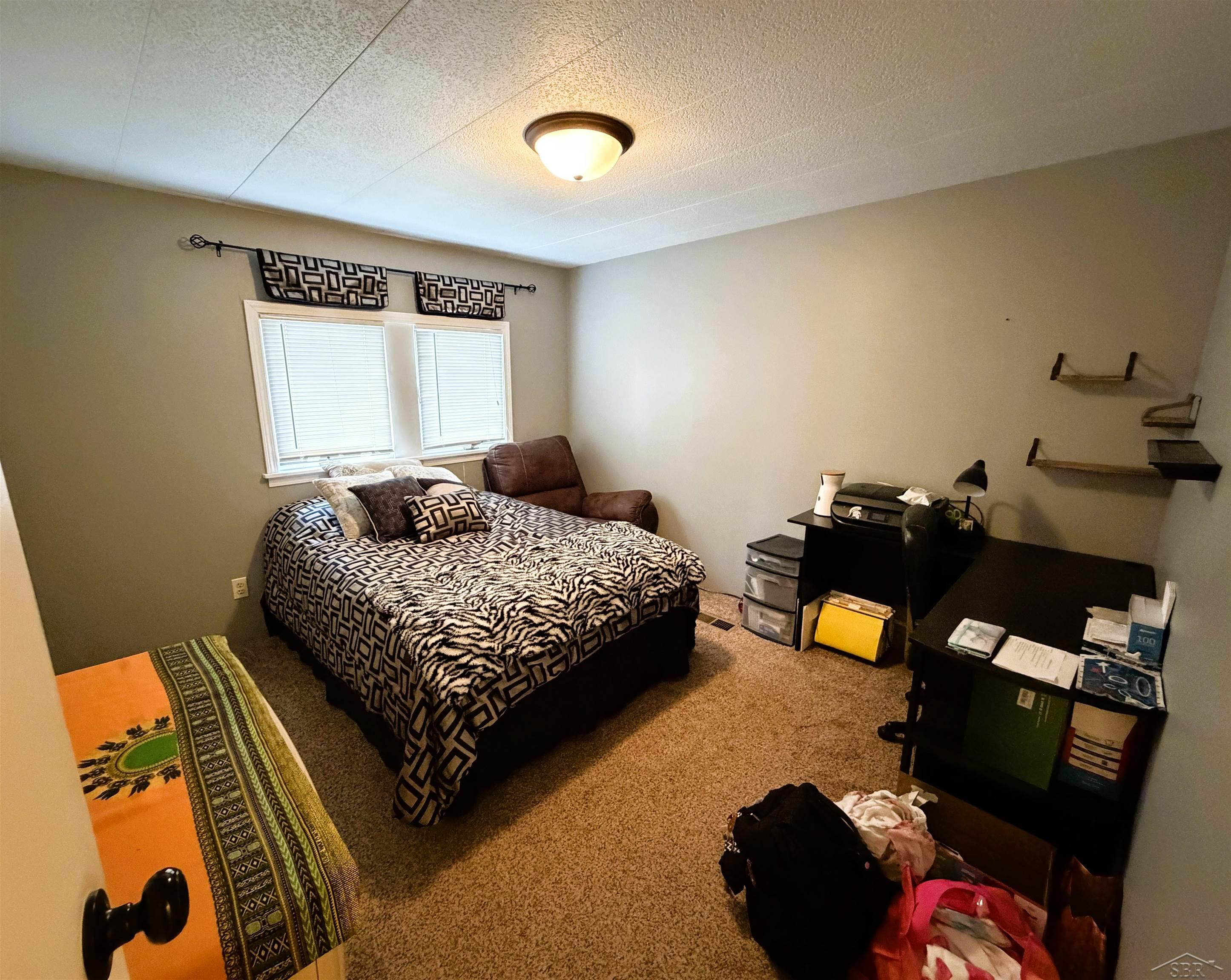 325 S Main Street, Chesaning, MI 48616 — Photo 14