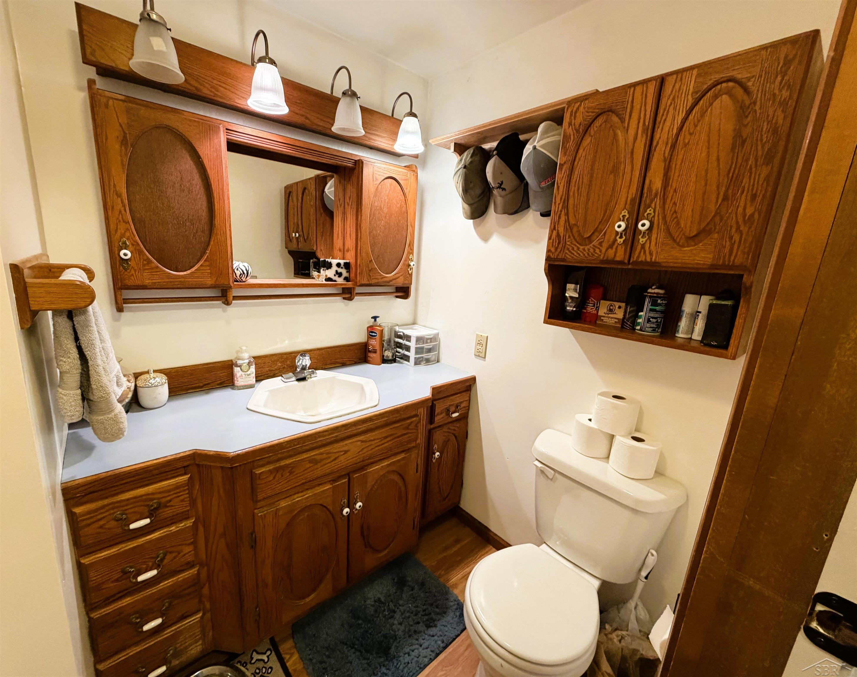325 S Main Street, Chesaning, MI 48616 — Photo 15