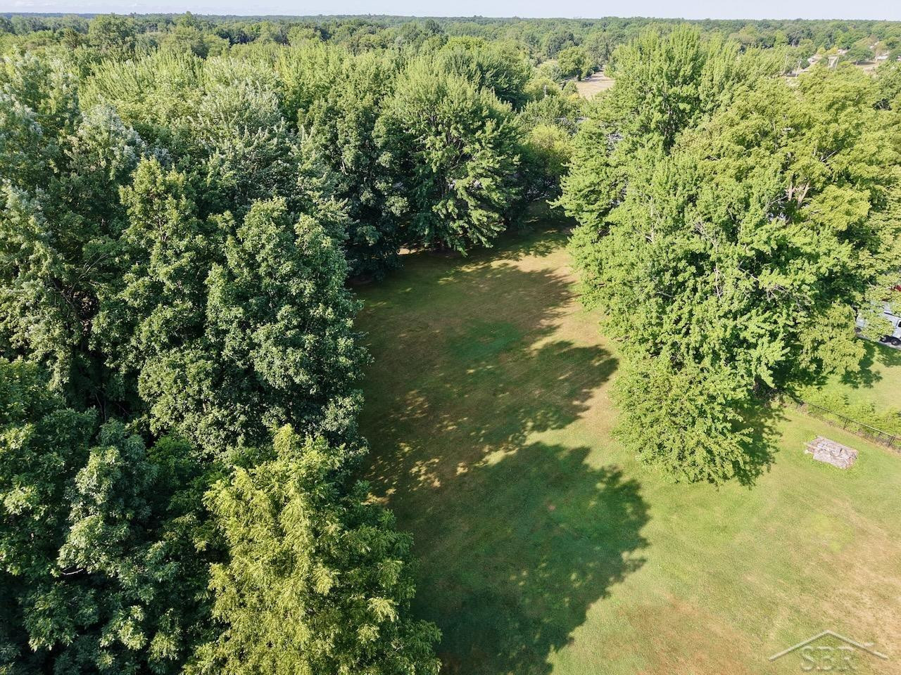325 S Main Street, Chesaning, MI 48616 — Photo 21
