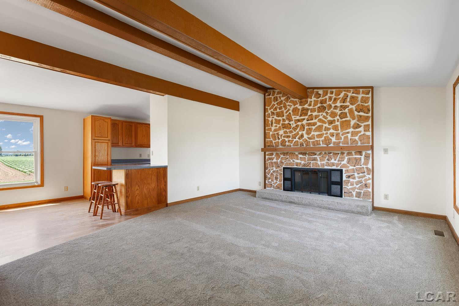 5137 Cook Road, Palmyra, MI 49268 — Photo 10