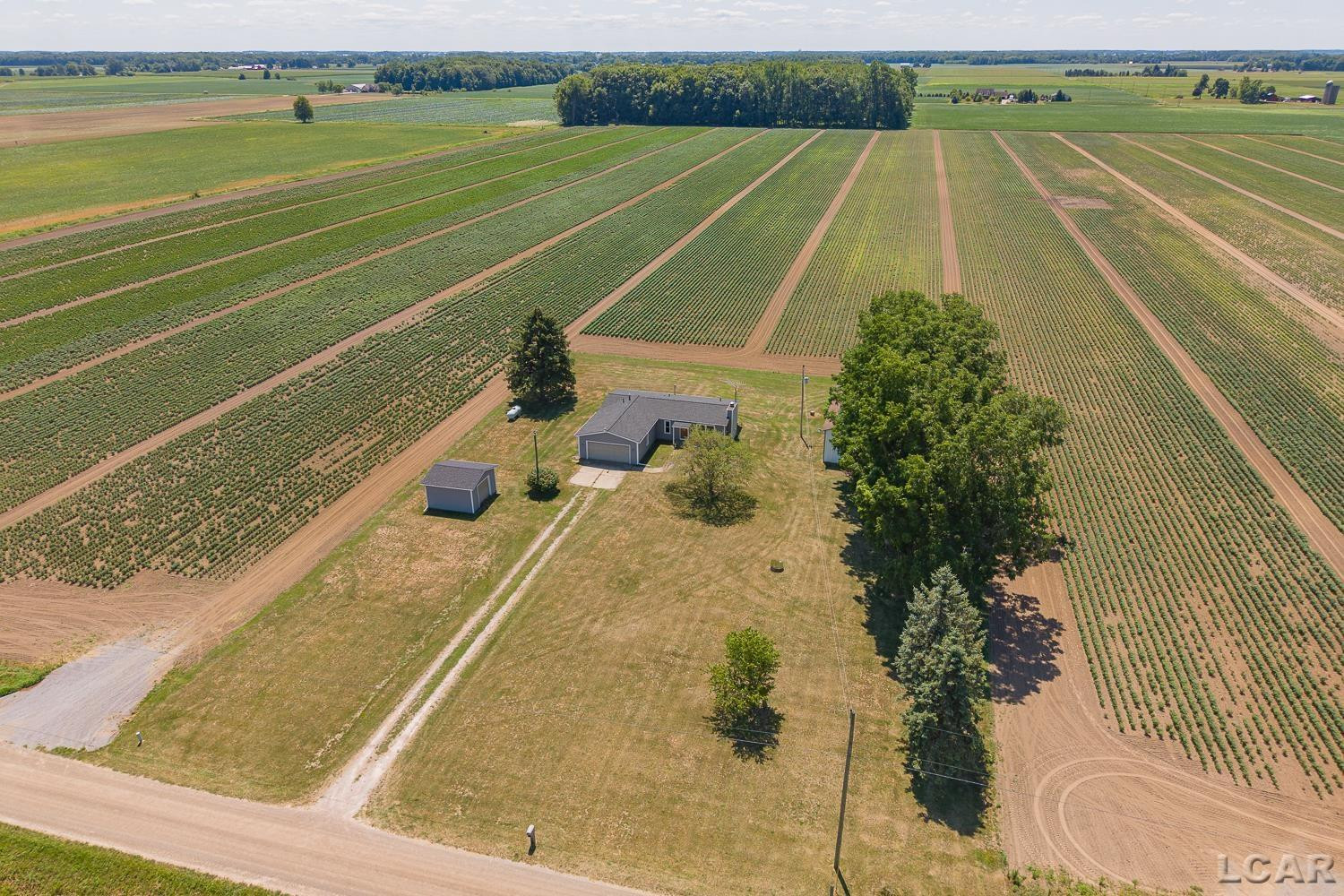5137 Cook Road, Palmyra, MI 49268 — Photo 37
