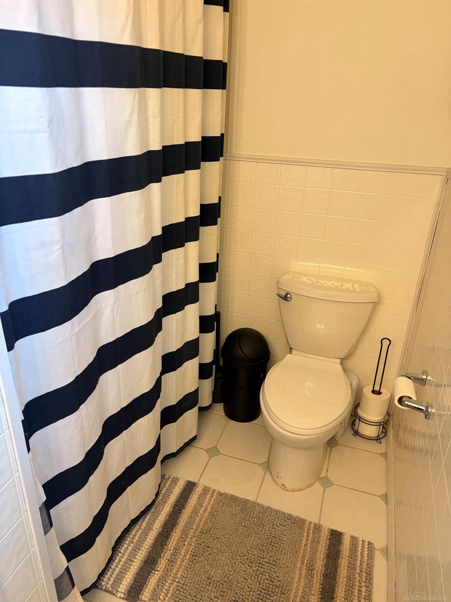 302 High Street, Williamston, MI 48895 — Photo 18