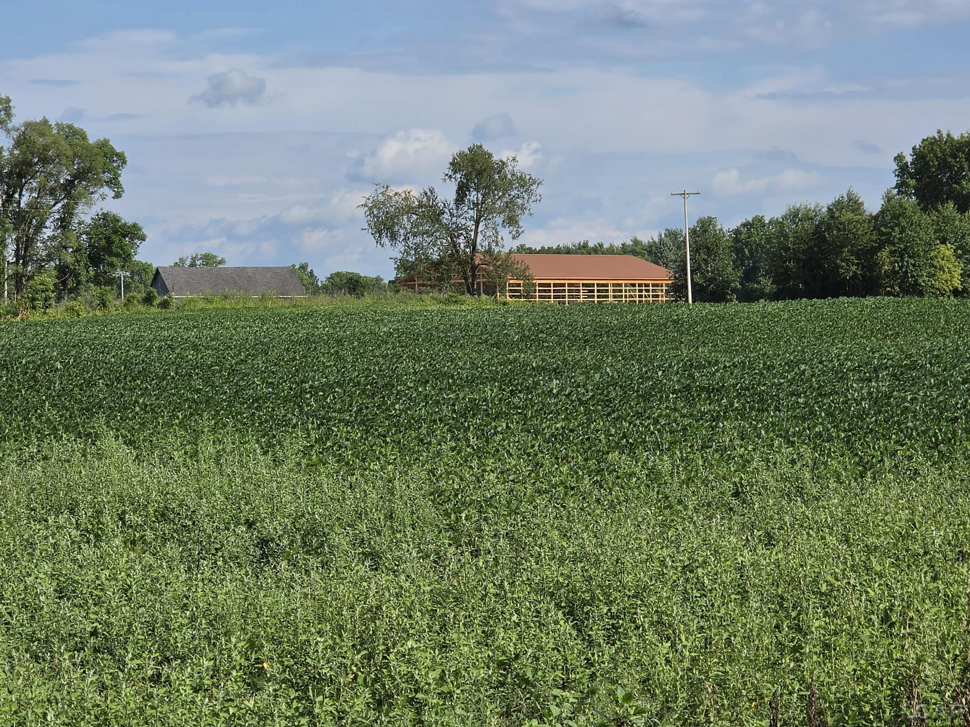 W Mosherville Road, Litchfield, MI 49252