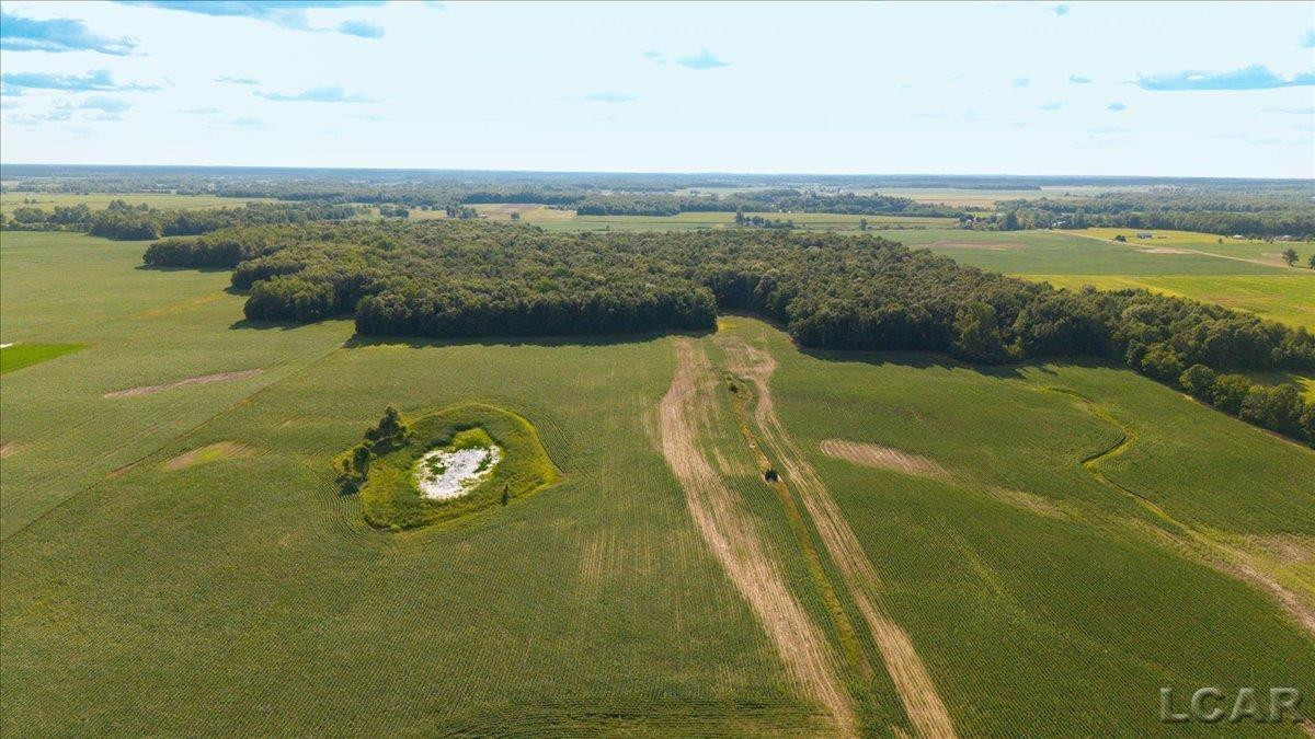 V/L S Pittsford Road, Pittsford, MI 49271