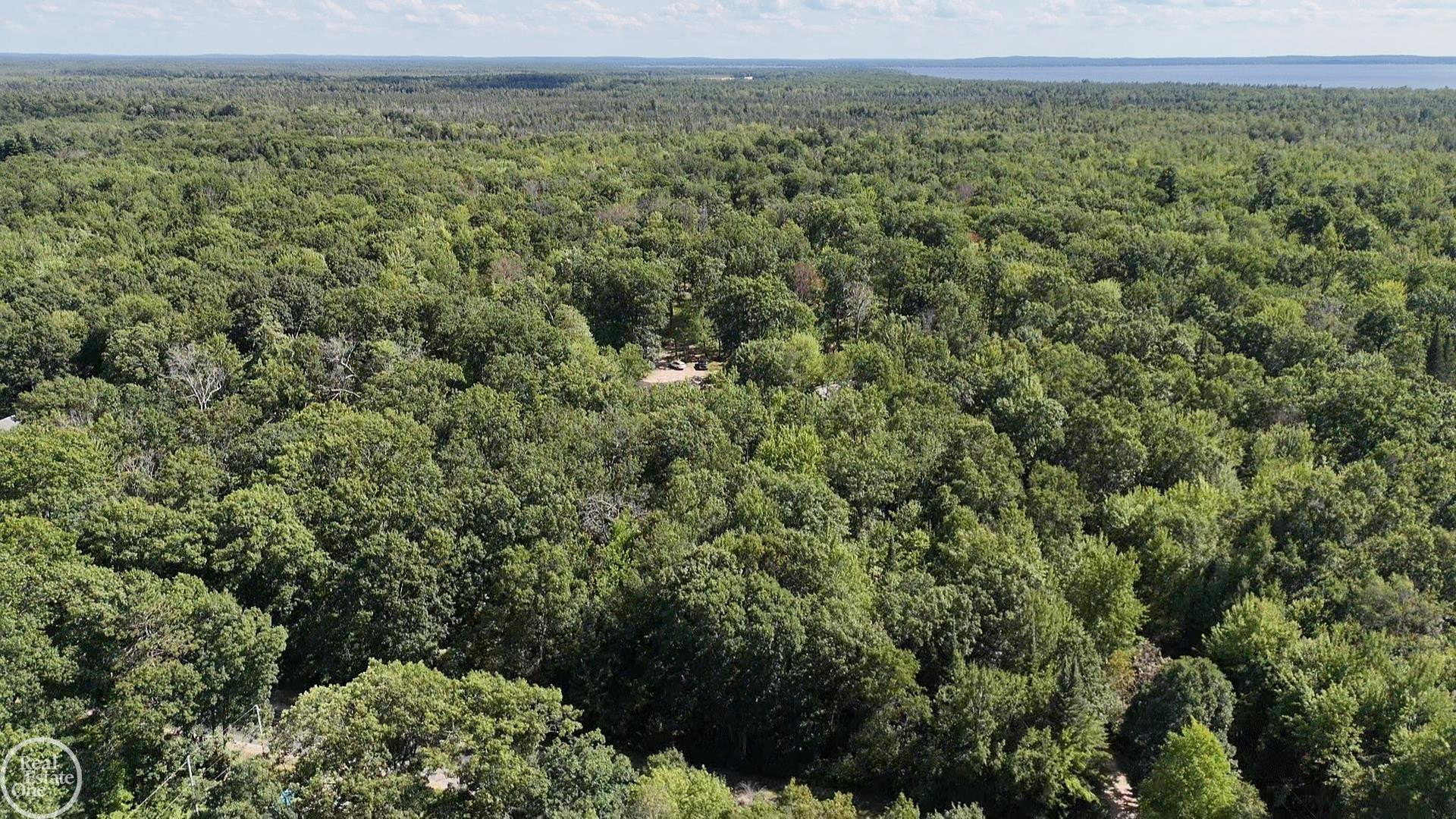 00 Lansing Road, Roscommon, MI 48653