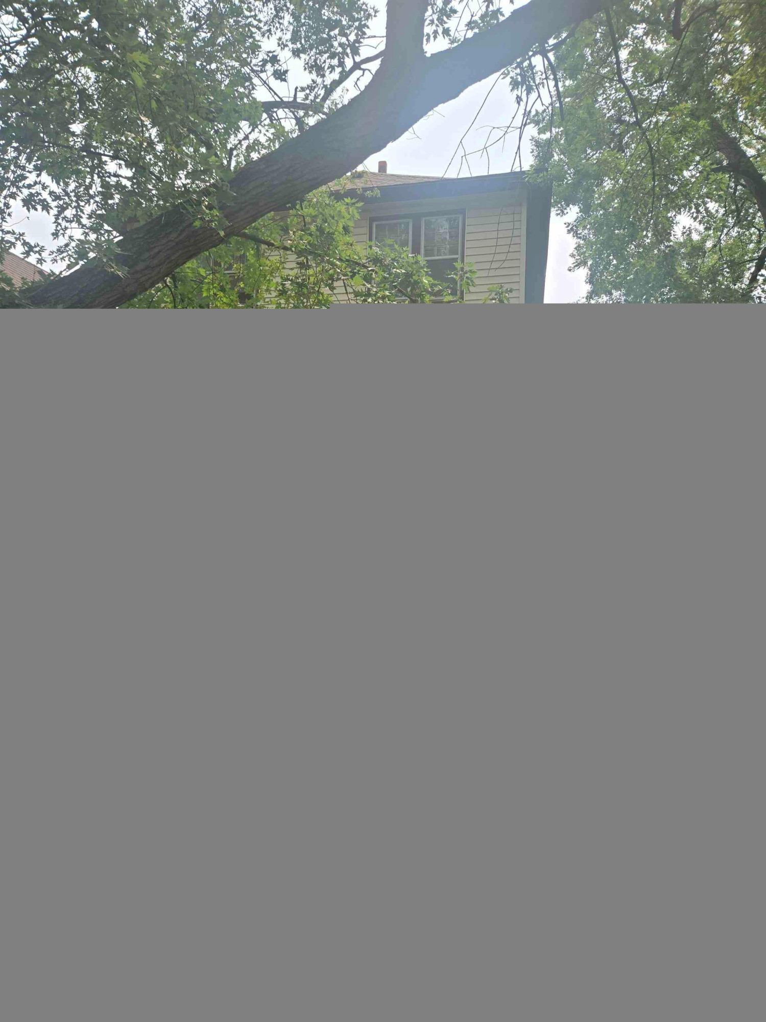 139 Perry Place Street, Wyandotte, MI 48192