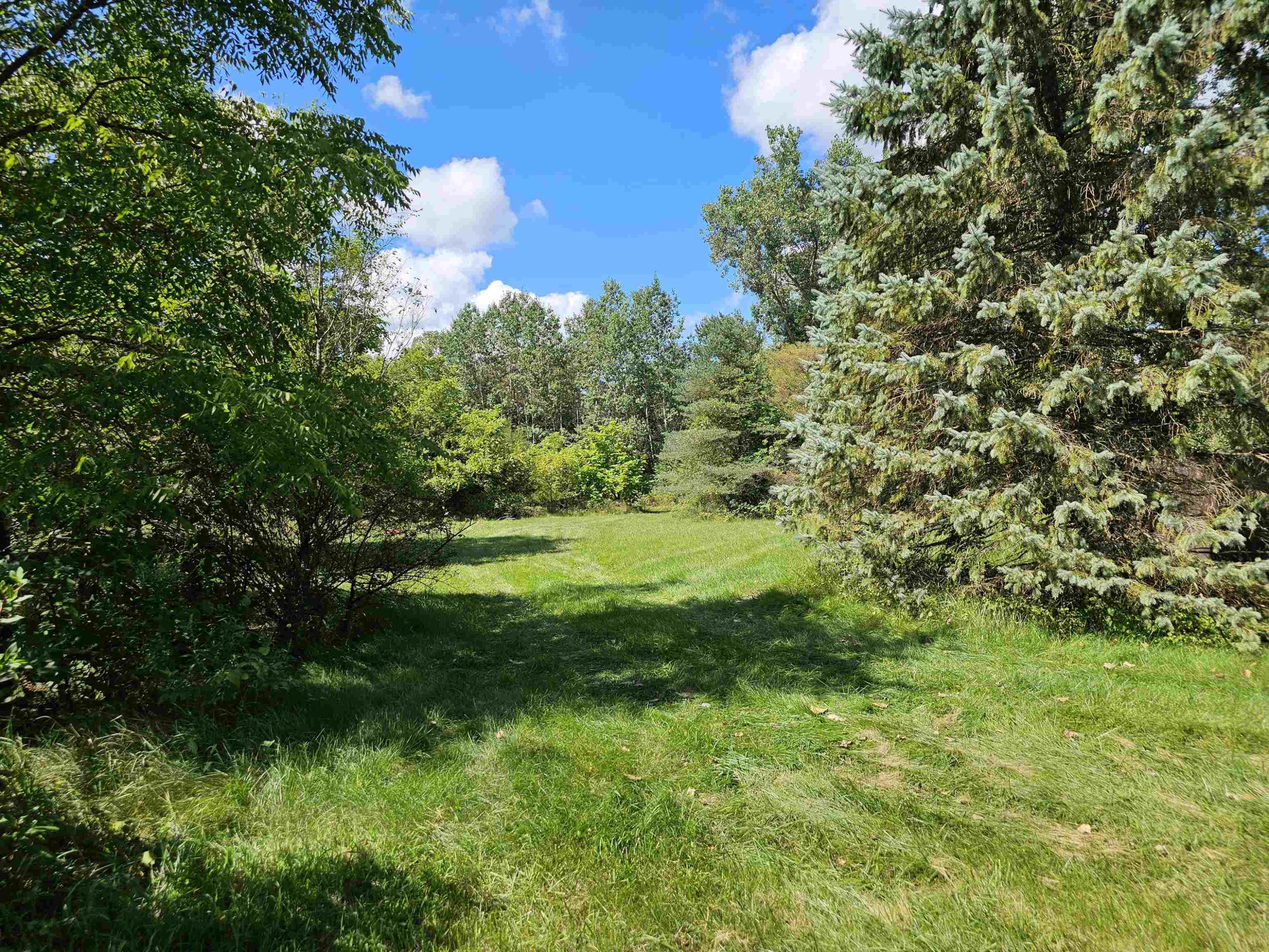 00 S Williams Street, Perry, MI 48872