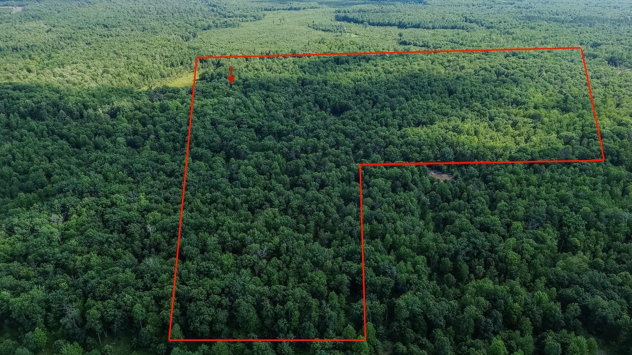 00 Center Fireline Trail Trail, Beaverton, MI 48612