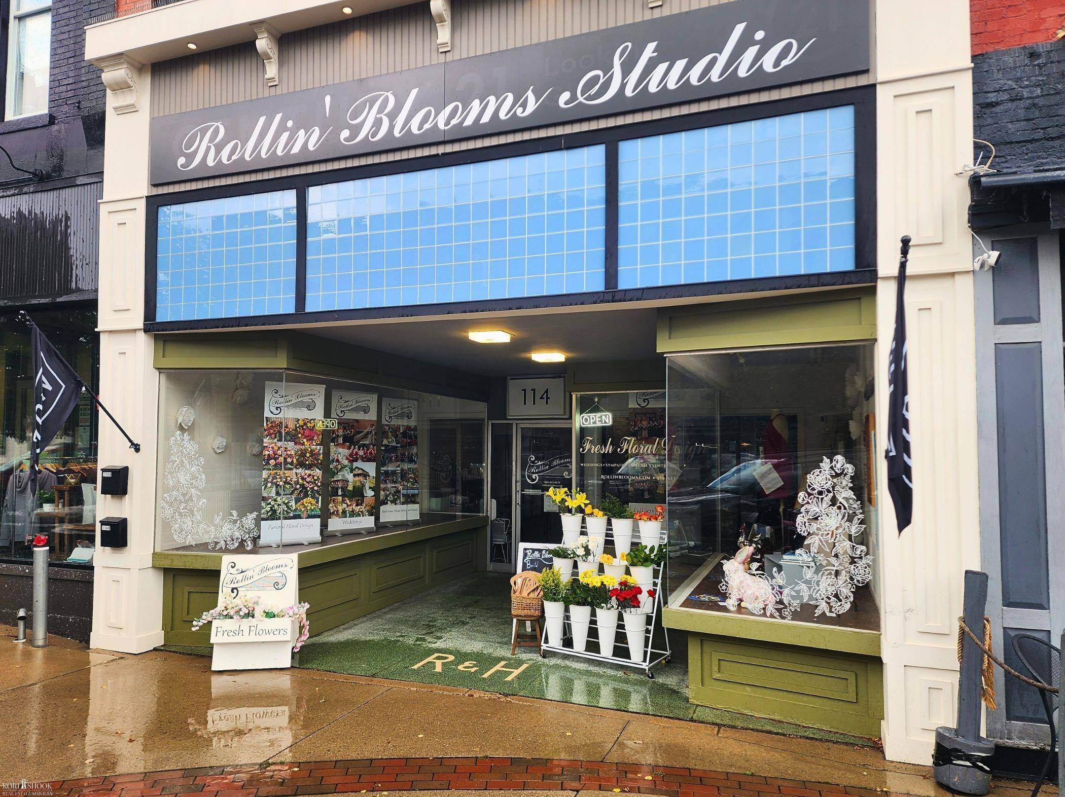 114 N Washingtion Street, Owosso, MI 48867