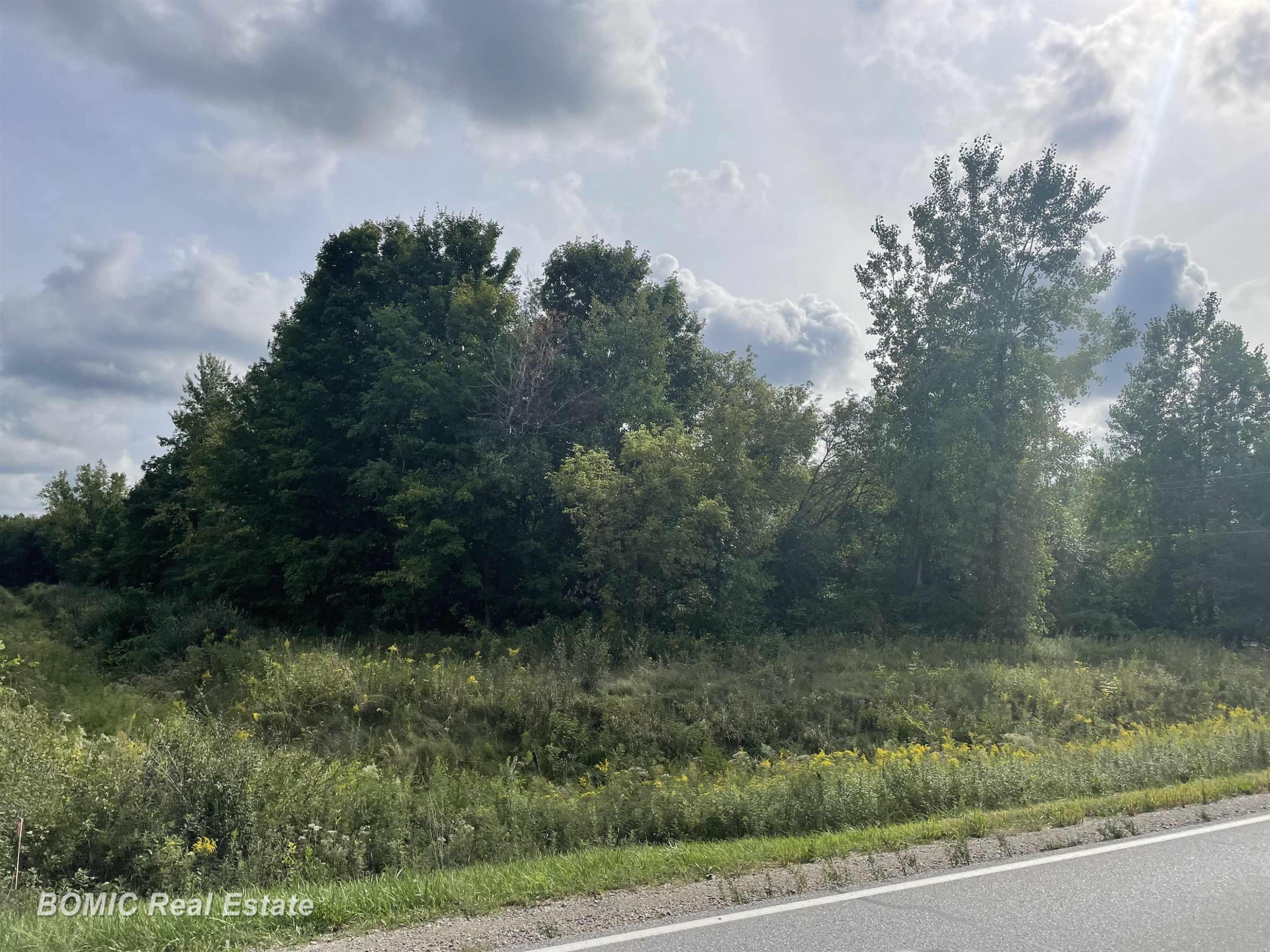 9157 Birch Run Road, Millington, MI 48768