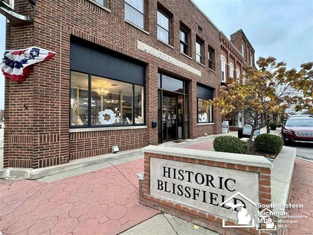 101 S Lane Street, Blissfield, MI 49228