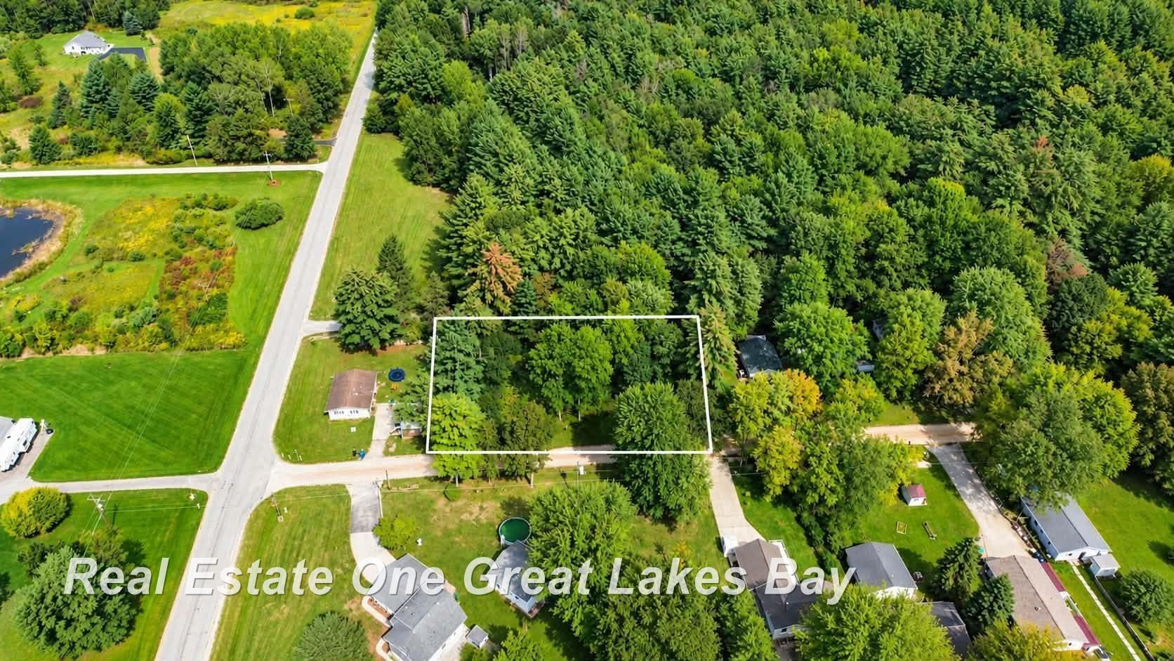 0 Pine Trl Trail, Beaverton, MI 48612