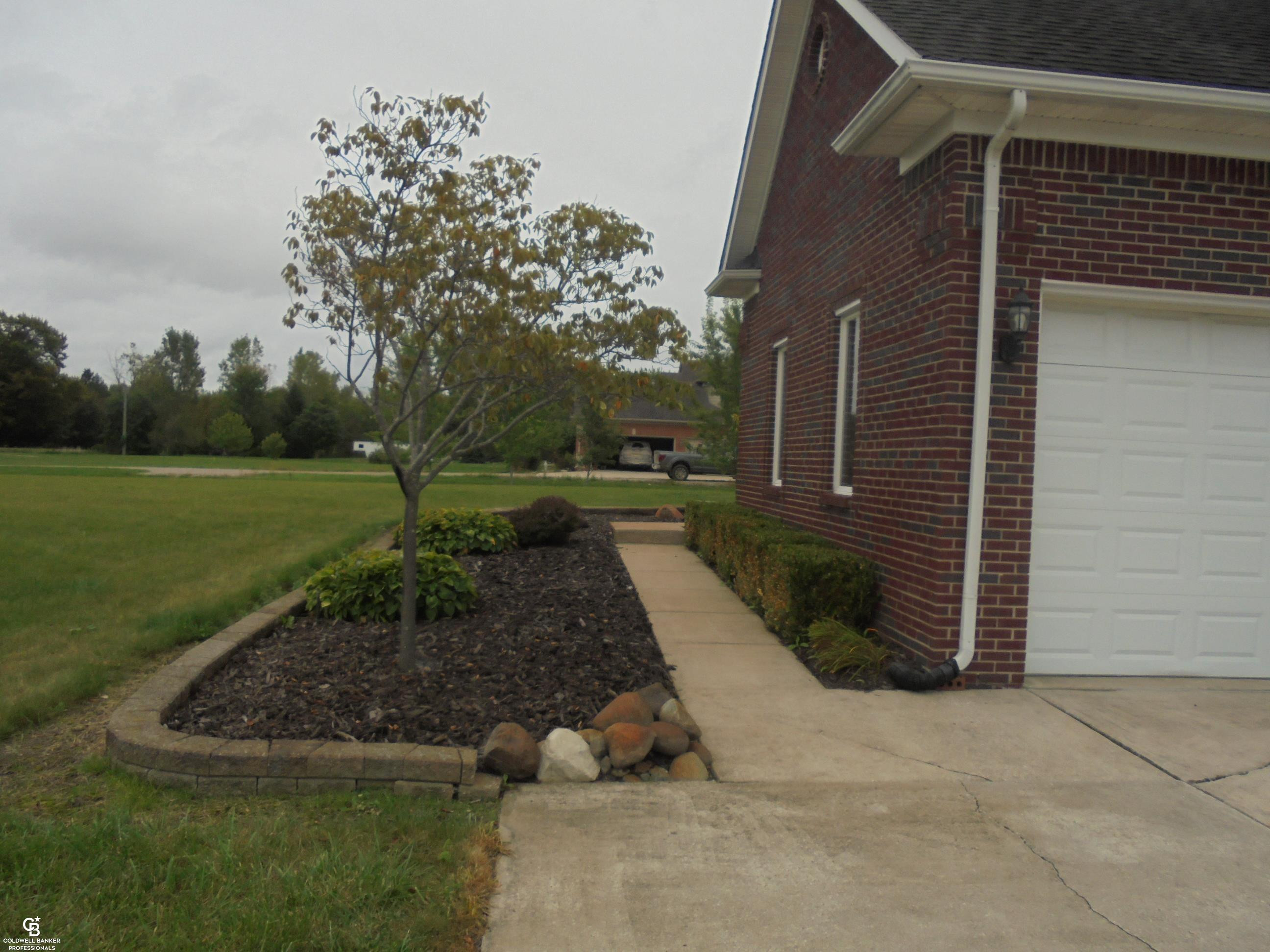 Photo 4