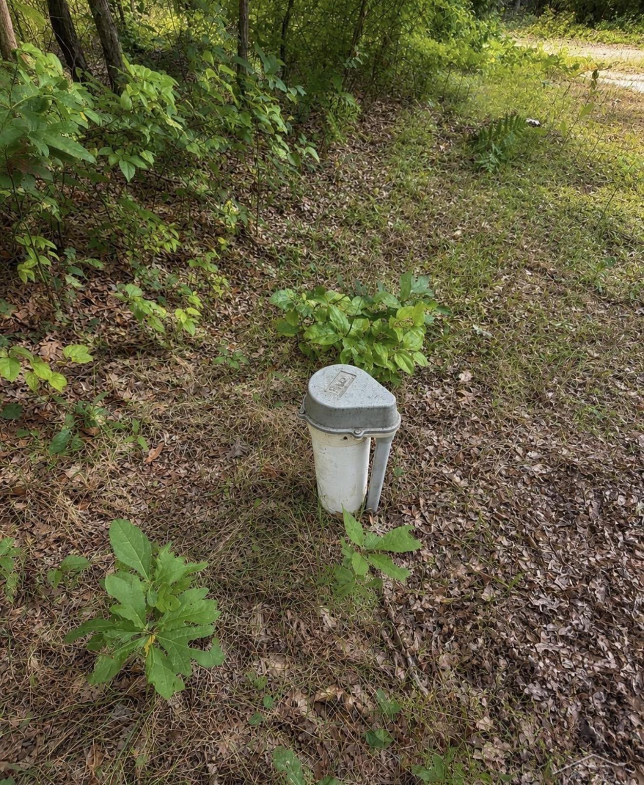 Photo 7