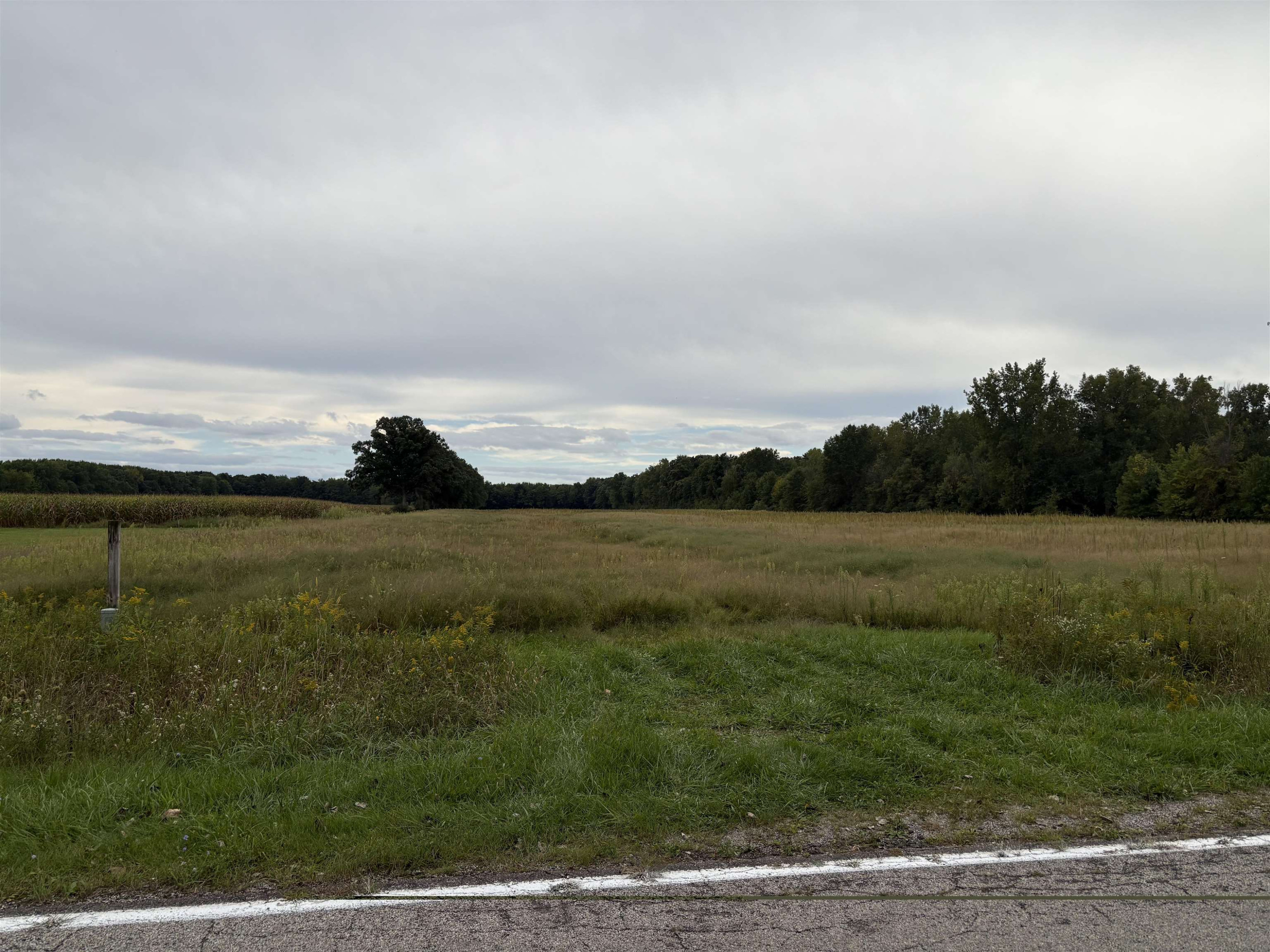 Vacant Land Wilson Road, Montrose, MI 48457