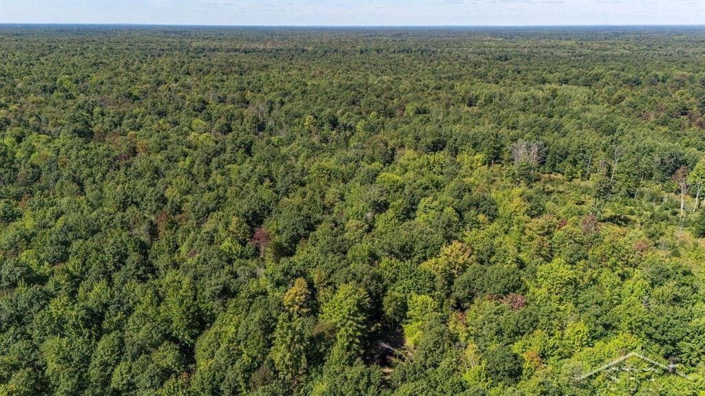 W Olson Road, Sanford, MI 48657