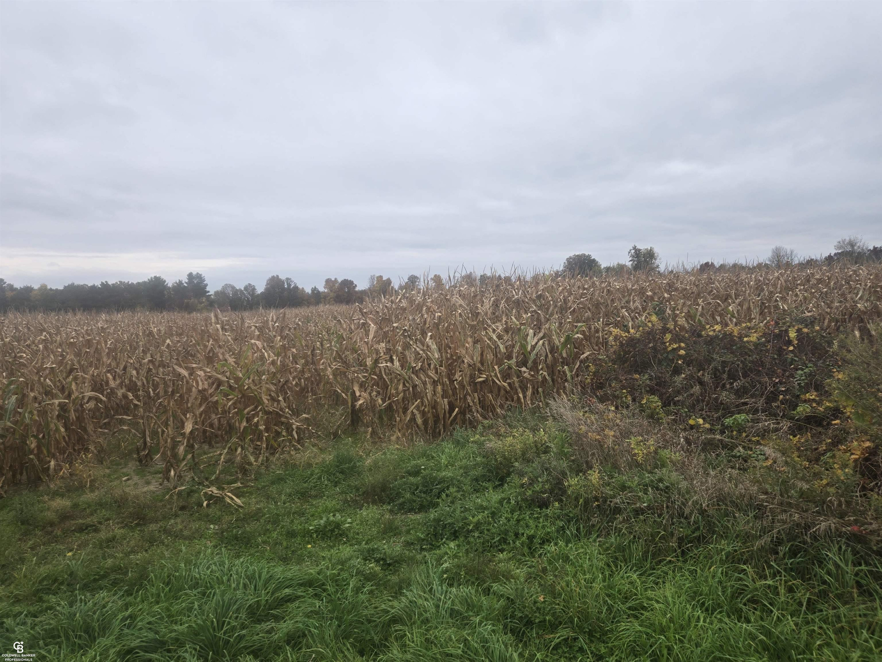 00 Brown VL Road, Avoca, MI 48006