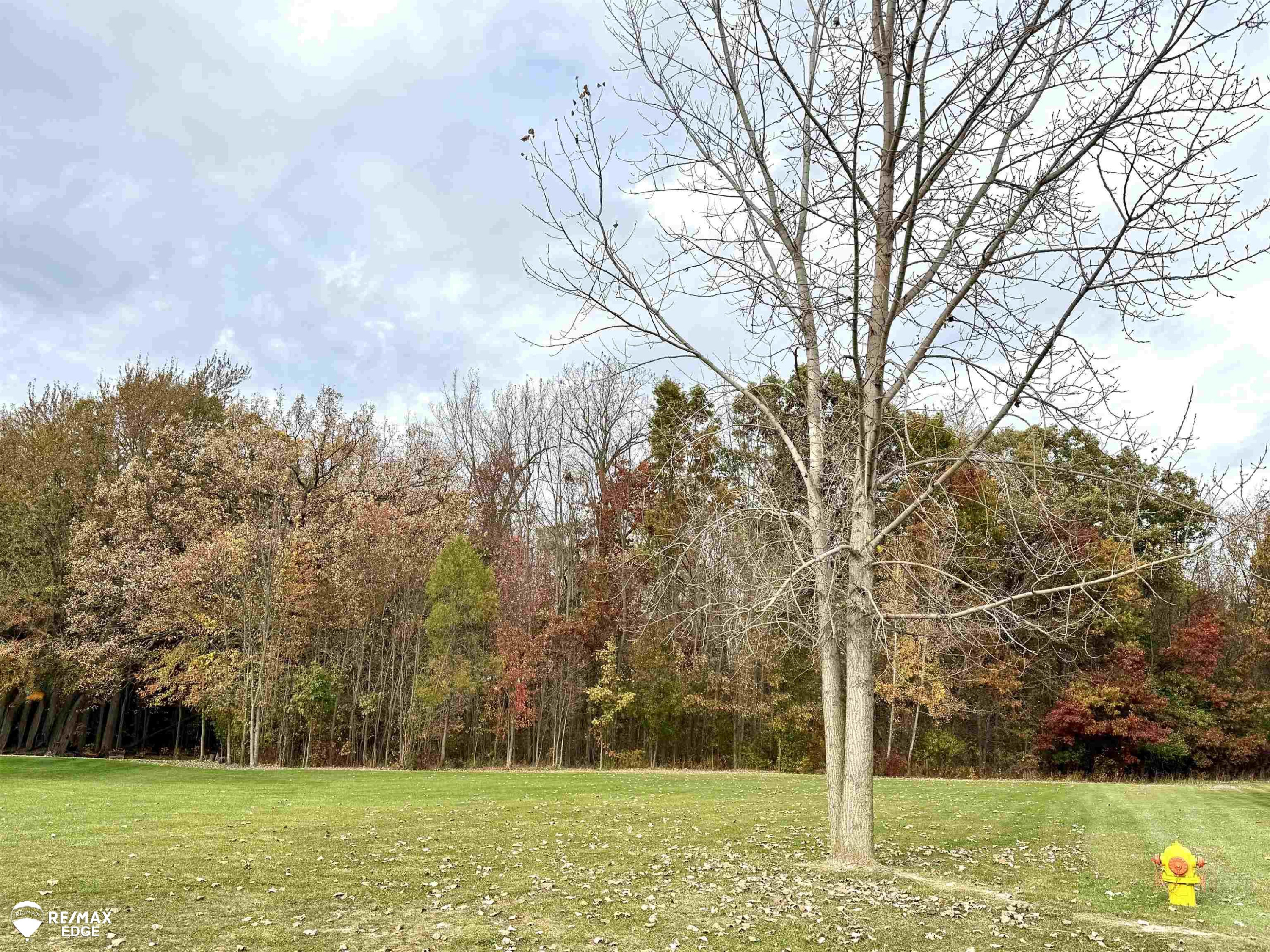 1381 Deer Creek Trail, Grand Blanc, MI 48439