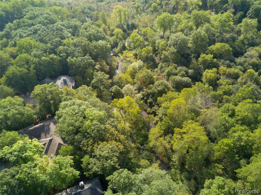 5017 Red Fox Run, Ann Arbor, MI 48105 — Photo 89