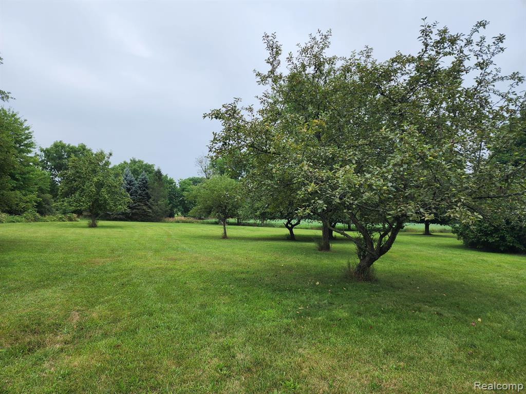 5125 VINES Road, Howell, MI 48843 — Photo 6