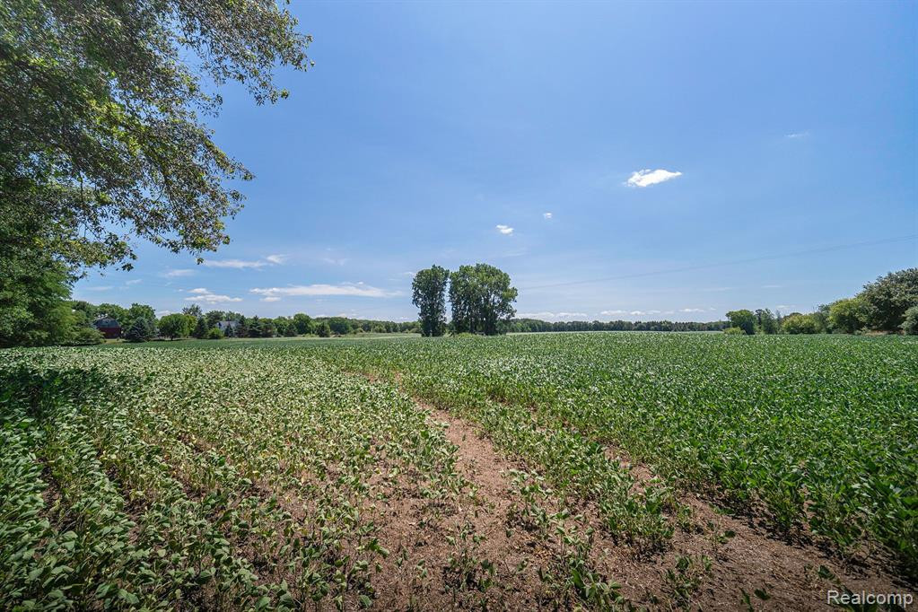 5125 VINES Road, Howell, MI 48843 — Photo 57