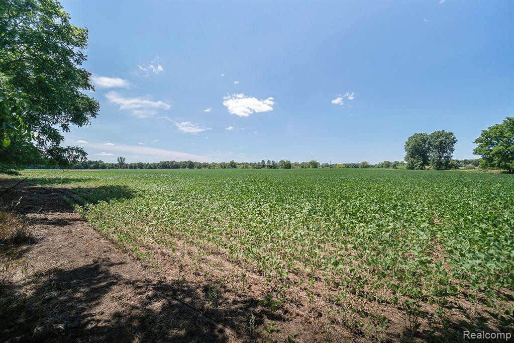 5125 VINES Road, Howell, MI 48843 — Photo 59