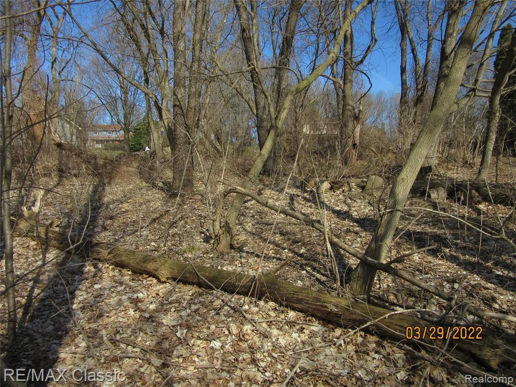 Lot 19 Milford Heights, Milford, MI 48381 — Photo 2