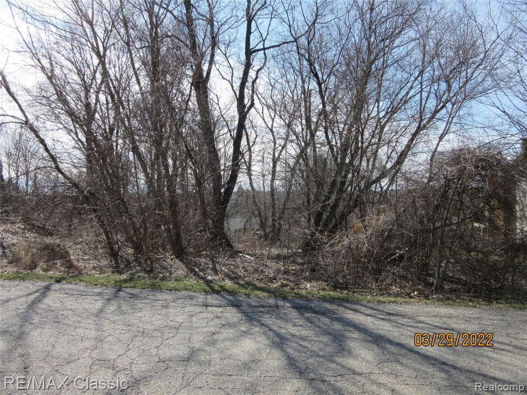 Lot 19 Milford Heights, Milford, MI 48381 — Photo 3