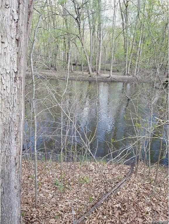 43 BRYDE Drive, Rives Junction, MI 49277 — Photo 2