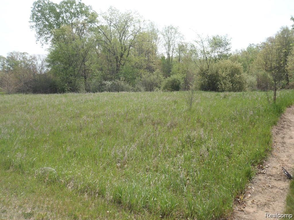 43 BRYDE Drive, Rives Junction, MI 49277 — Photo 3
