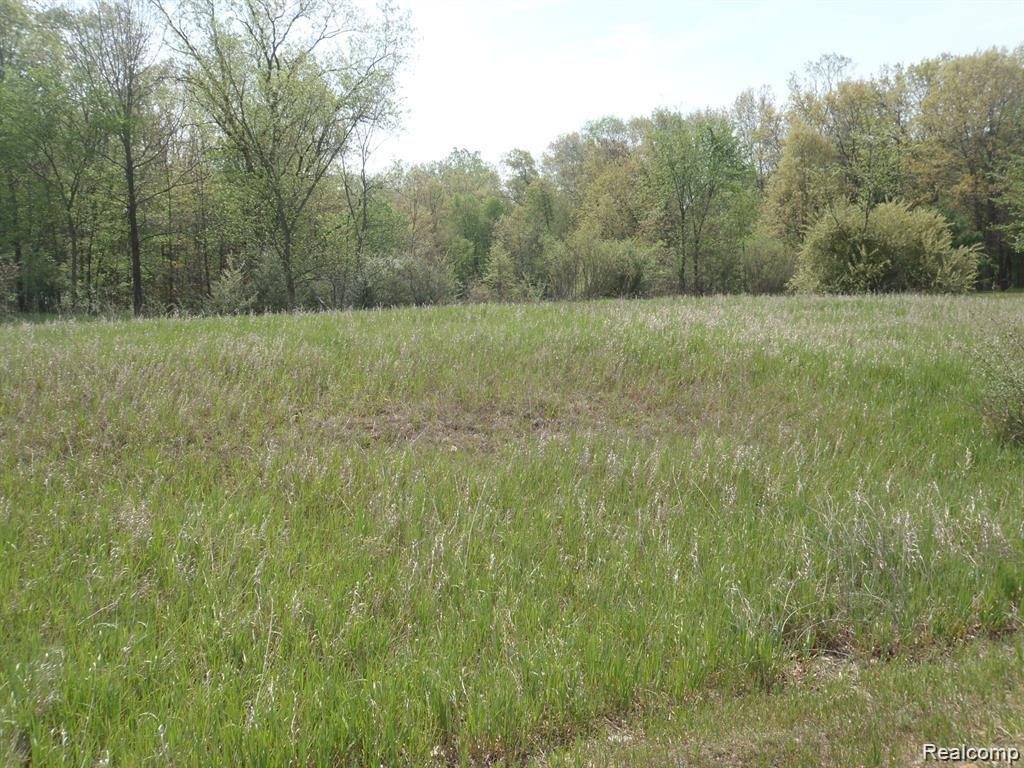 43 BRYDE Drive, Rives Junction, MI 49277 — Photo 4