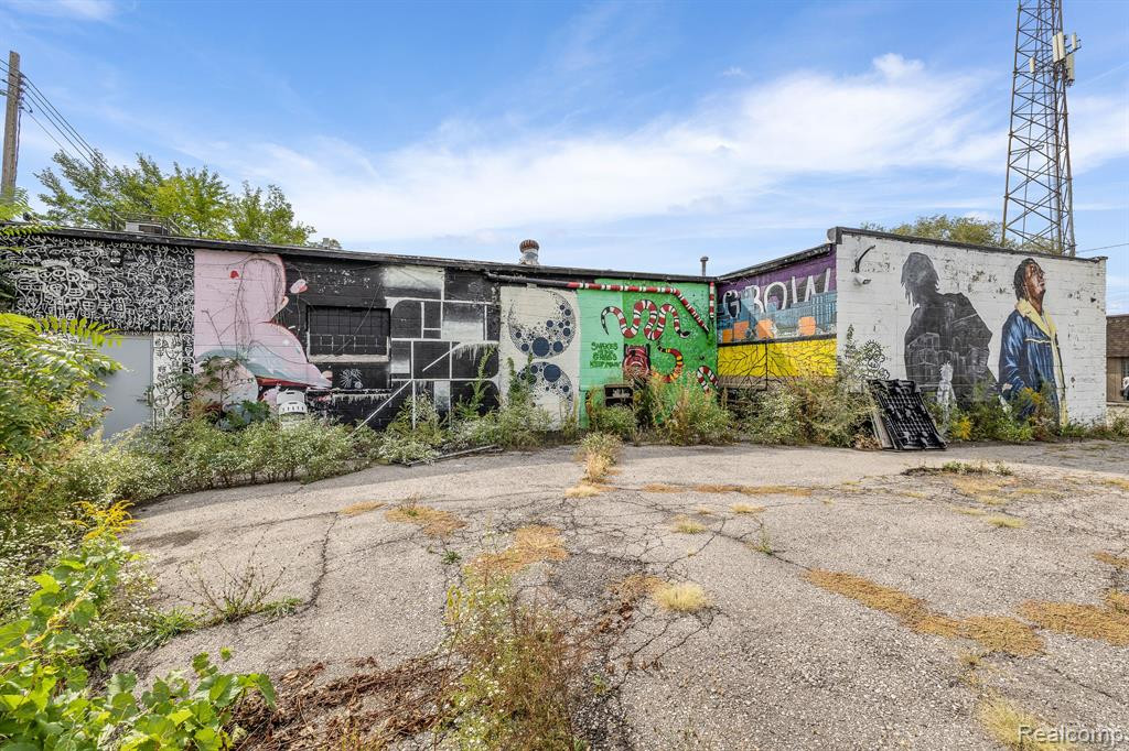 314 E BALTIMORE Street, Detroit, MI 48202 — Photo 18