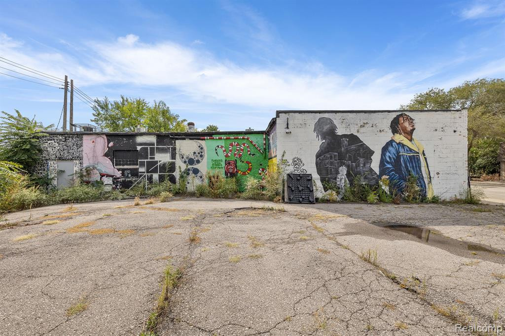 314 E BALTIMORE Street, Detroit, MI 48202 — Photo 19