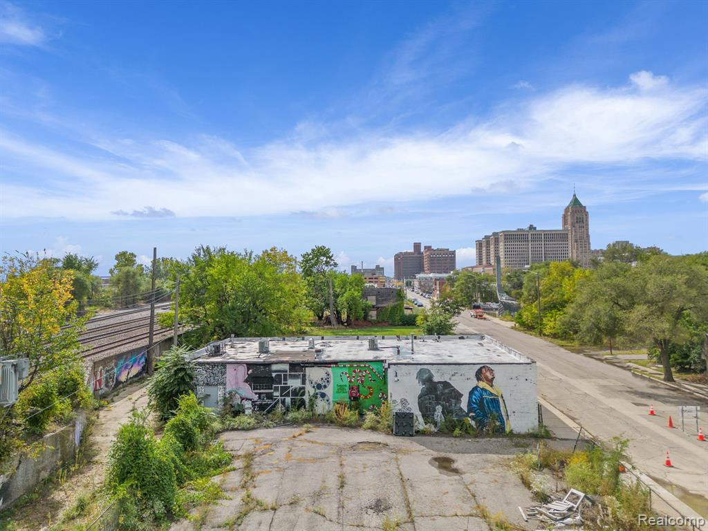 314 E BALTIMORE Street, Detroit, MI 48202 — Photo 22