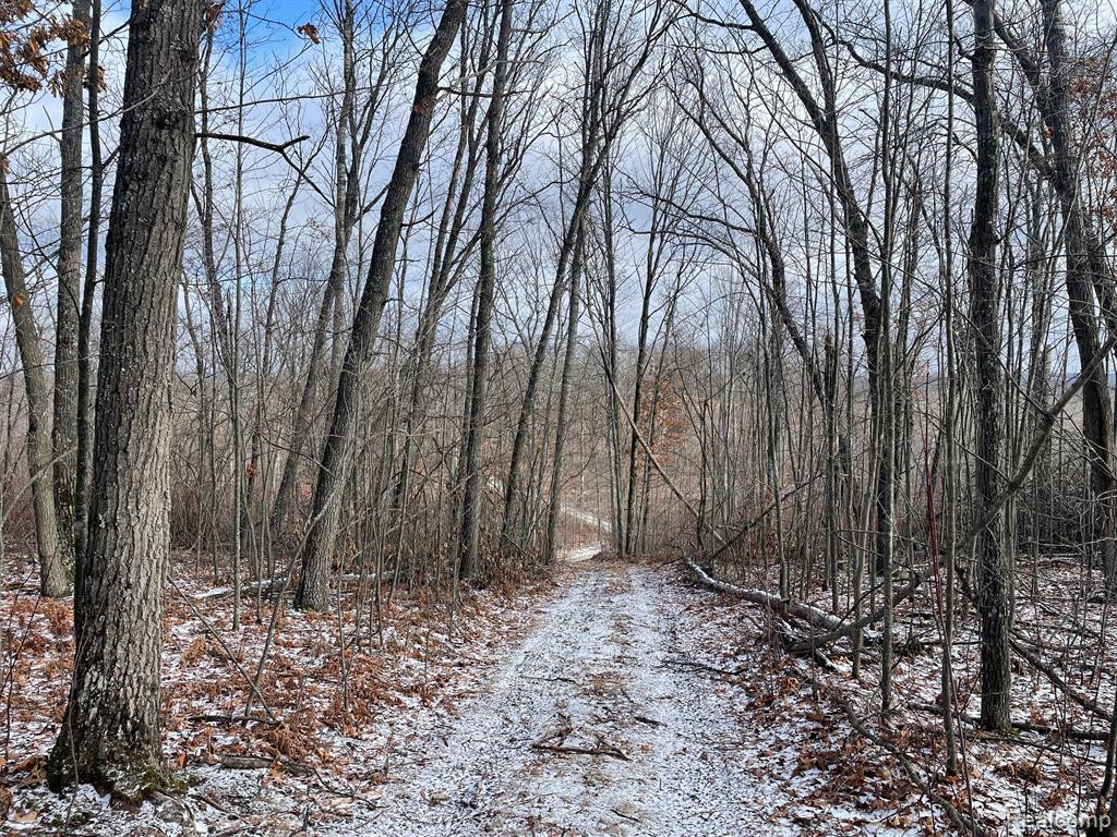 VL Gibson Farms Drive UNIT Parcel 9, Middleville, MI, 49333