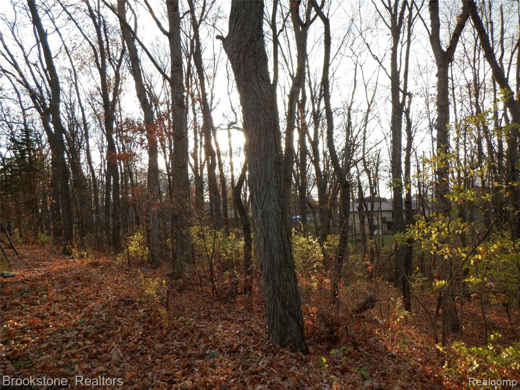 1822 HEIGHTS DR, Brooklyn, MI 49230 — Photo 28