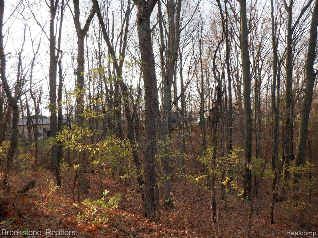 1822 HEIGHTS DR, Brooklyn, MI 49230 — Photo 29