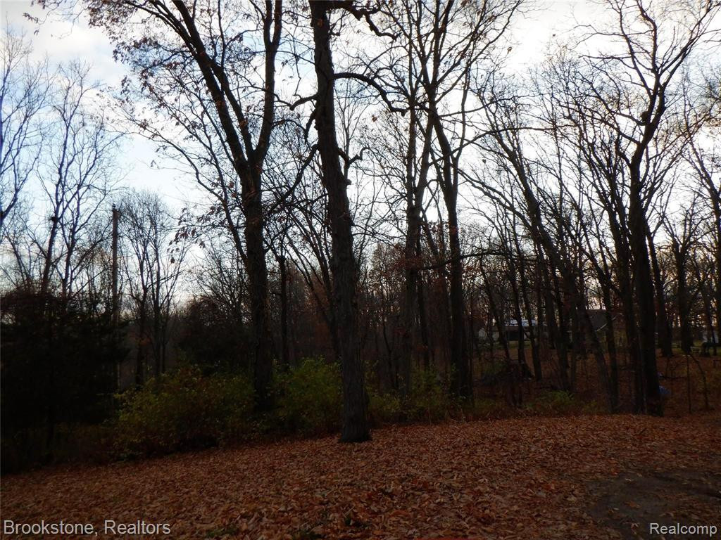 1822 HEIGHTS DR, Brooklyn, MI 49230 — Photo 31