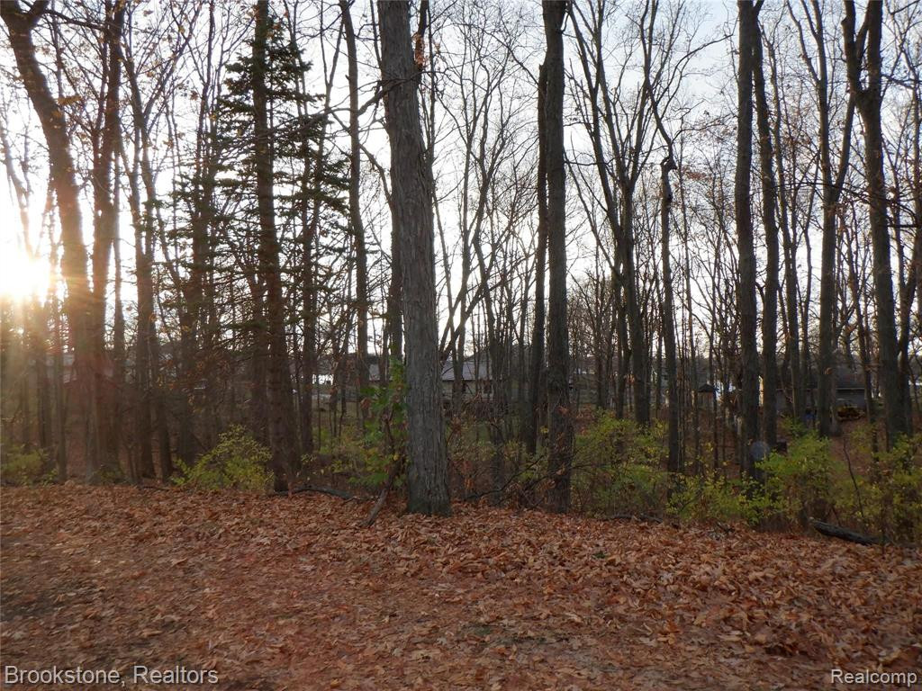 1822 HEIGHTS DR, Brooklyn, MI 49230 — Photo 33